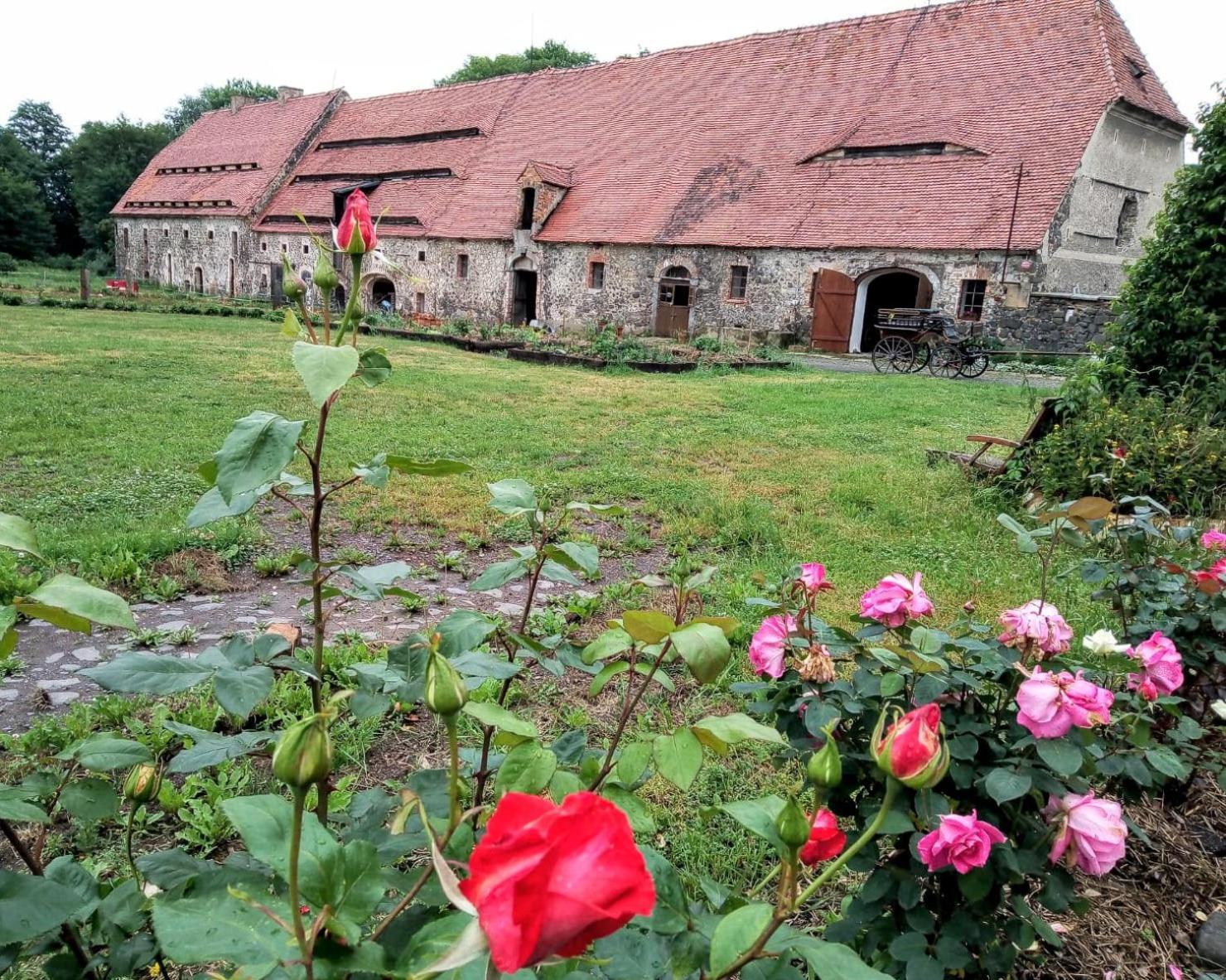 Studniska Country Estate Villa Екстериор снимка