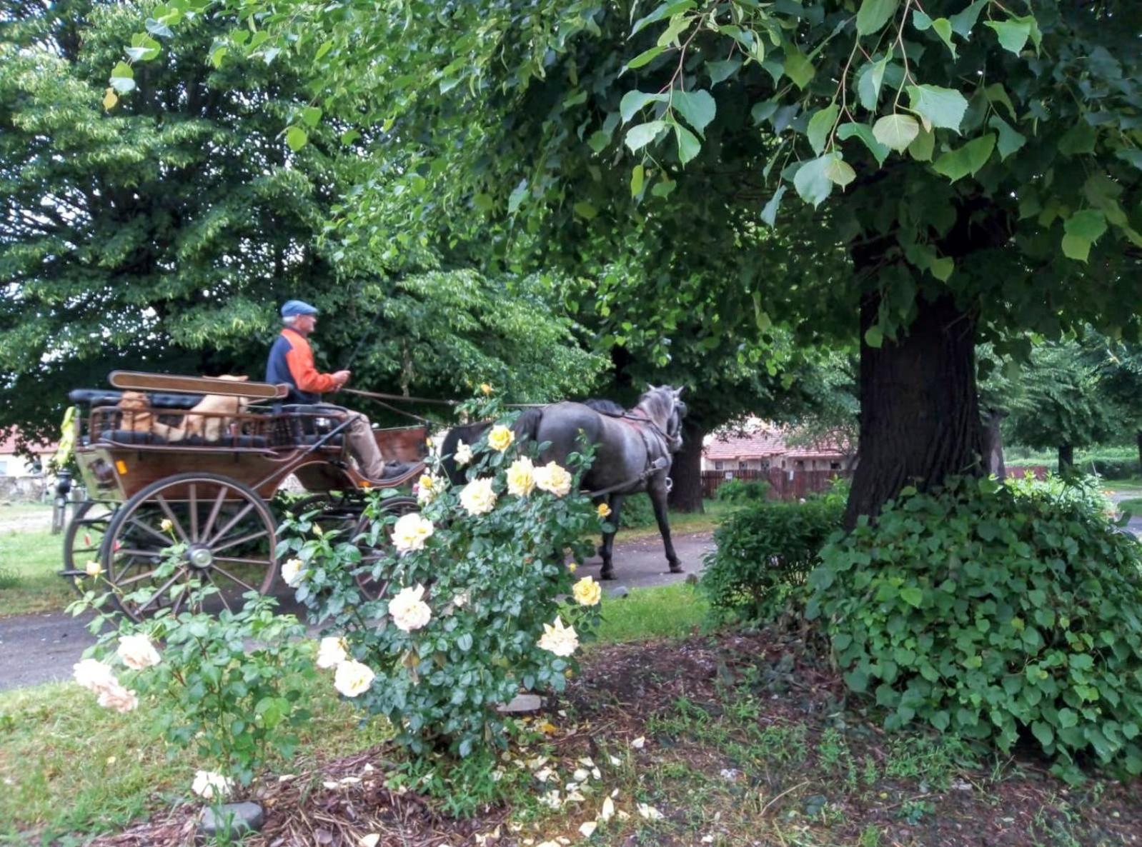 Studniska Country Estate Villa Екстериор снимка
