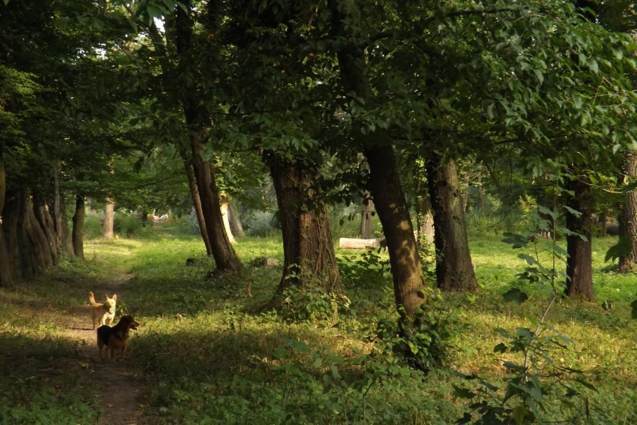 Studniska Country Estate Villa Екстериор снимка